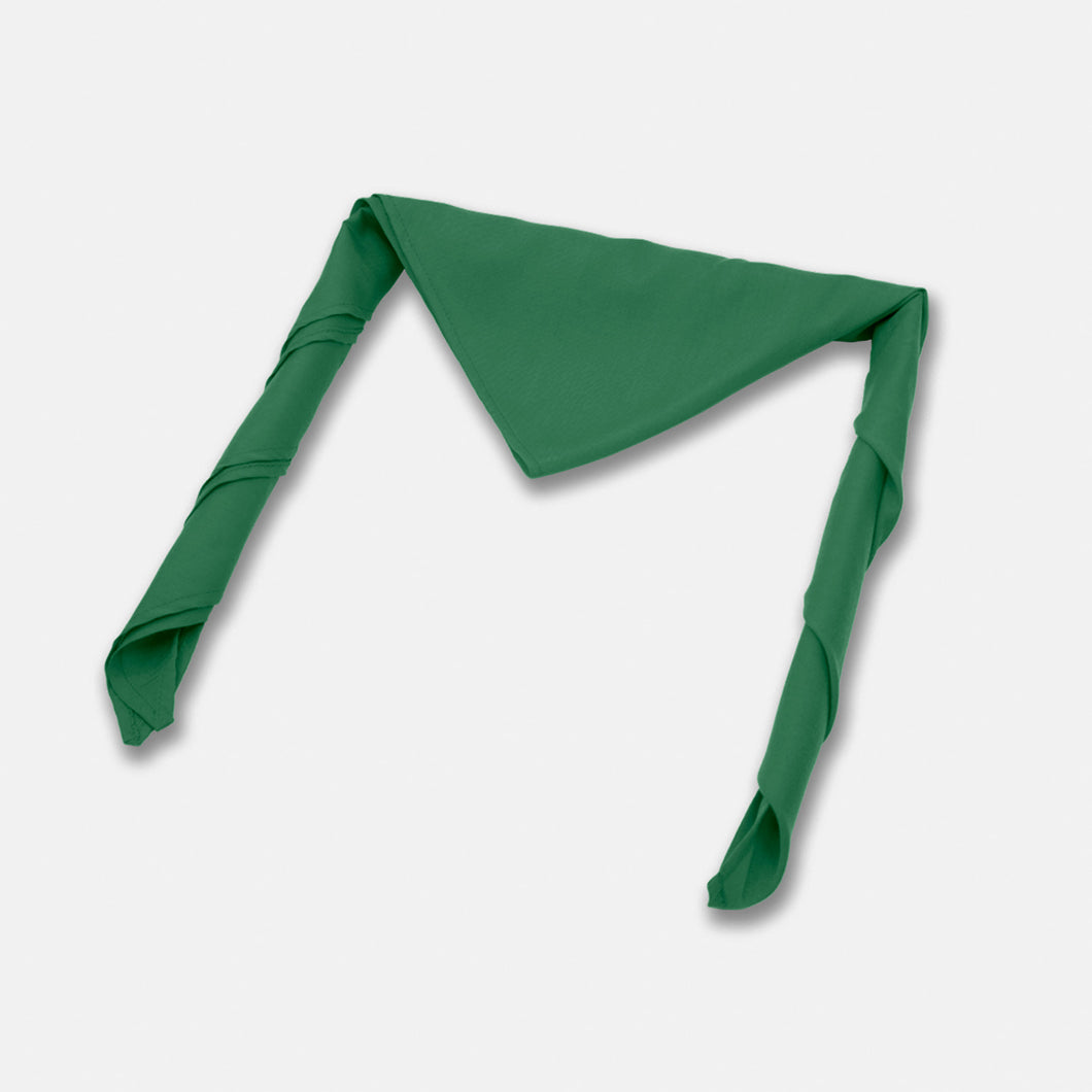 Green Governments School Scouts Scarf