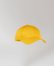 Load image into Gallery viewer, Adults Cap