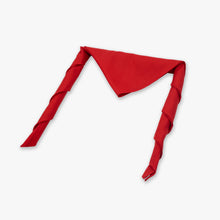 Load image into Gallery viewer, Red Governments School Scouts Scarf
