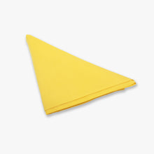 Load image into Gallery viewer, Yellow Governments School Scouts Scarf
